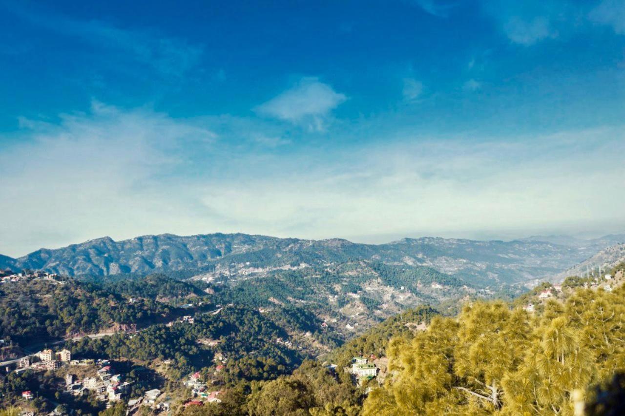 Nature View Resort !! A Four Star Lavish & Luxury Resort Chail Exteriér fotografie