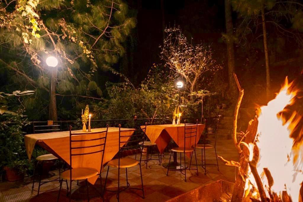 Nature View Resort !! A Four Star Lavish & Luxury Resort Chail Exteriér fotografie